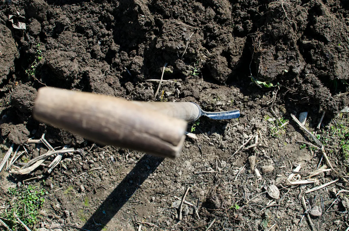 Garden fork driven into freshly turned dark soil with the surface broken up and loosened