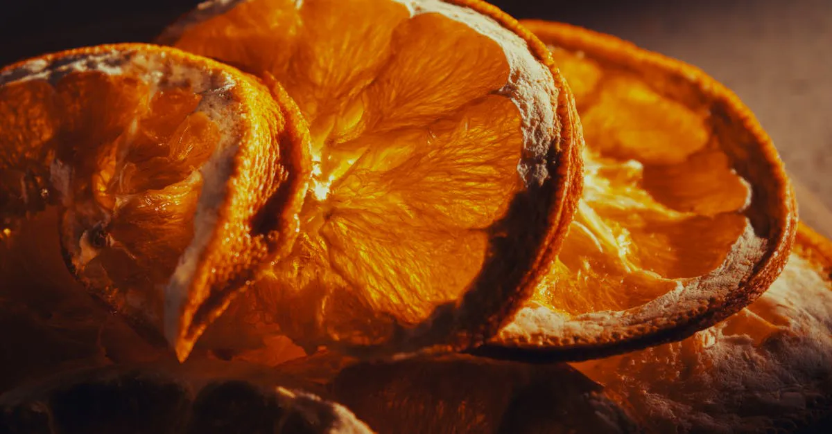 Close-up of dried orange slices showing preserved internal structure and color