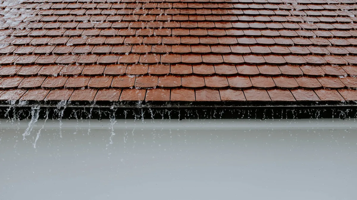 Rain Barrels for a Small Yard: Setup, Legality, and Safe Use